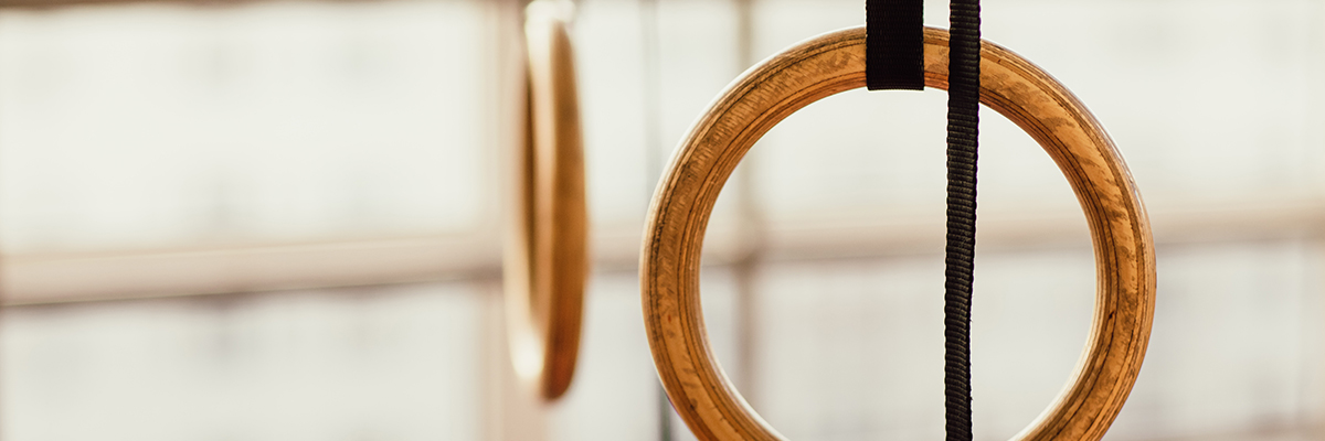 Gym Rings Gym Rings