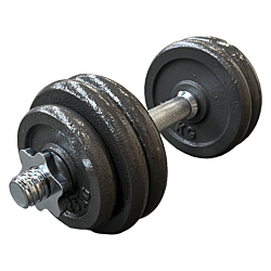 TITAN LIFE Dumbbell 15 kg Adjustable, Iron,
