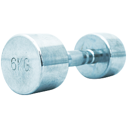 TITAN LIFE PRO Chrome Dumbbell 6 kg
