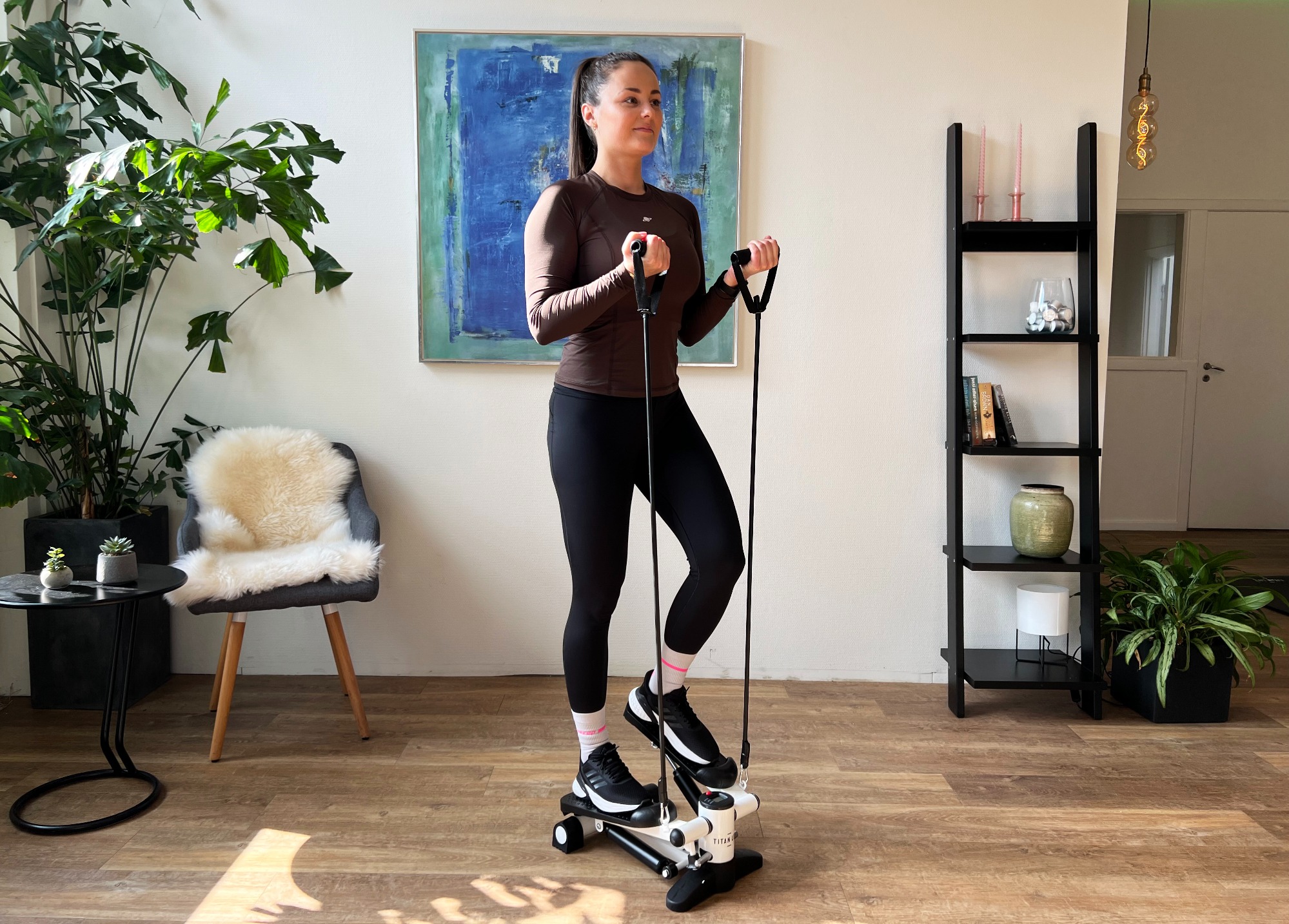 TITAN LIFE Mini Stepper