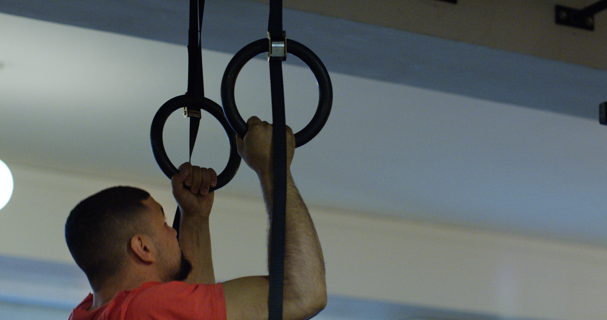 TITAN LIFE Gym Rings